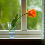 South Florida' Premiere Hurricane & Impact Windows Contractor, South Florida Replacement Window Contractors