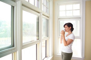 Windows: Eyes of the Home