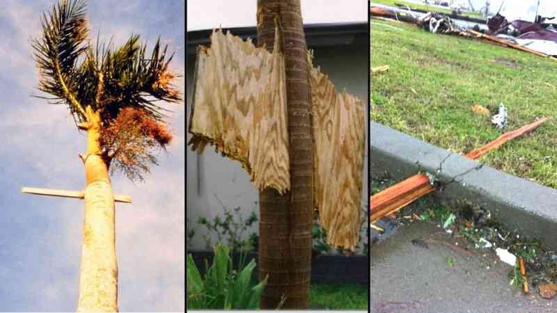 The need for hurricane protection and hurricane windows